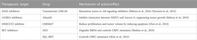 Role of transcription factors and chromatin modifiers in driving lineage reprogramming in treatment-induced neuroendocrine prostate cancer